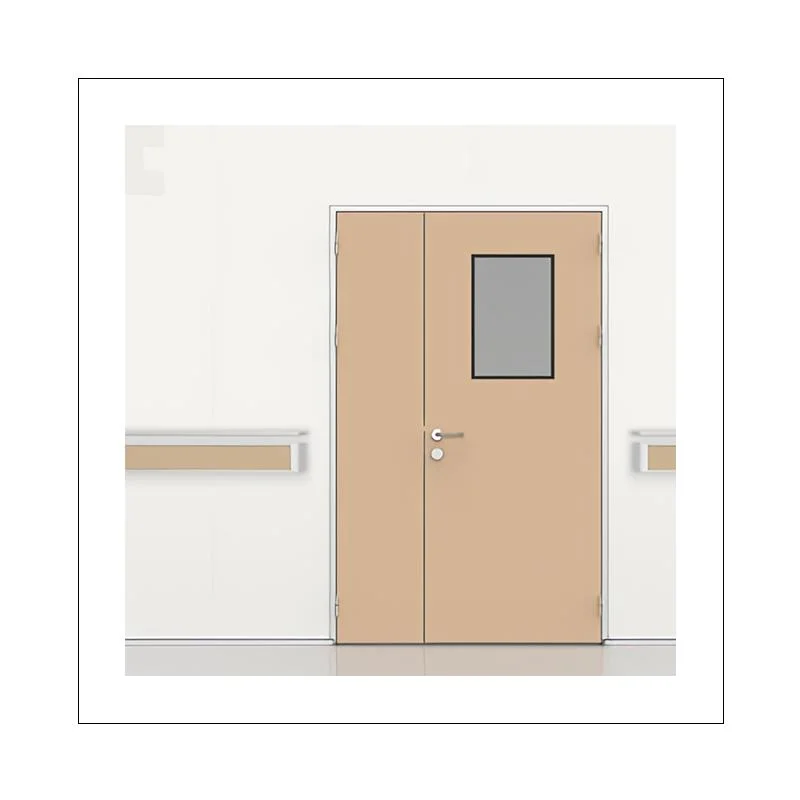 Shp Modular Swing Cleanroom Door