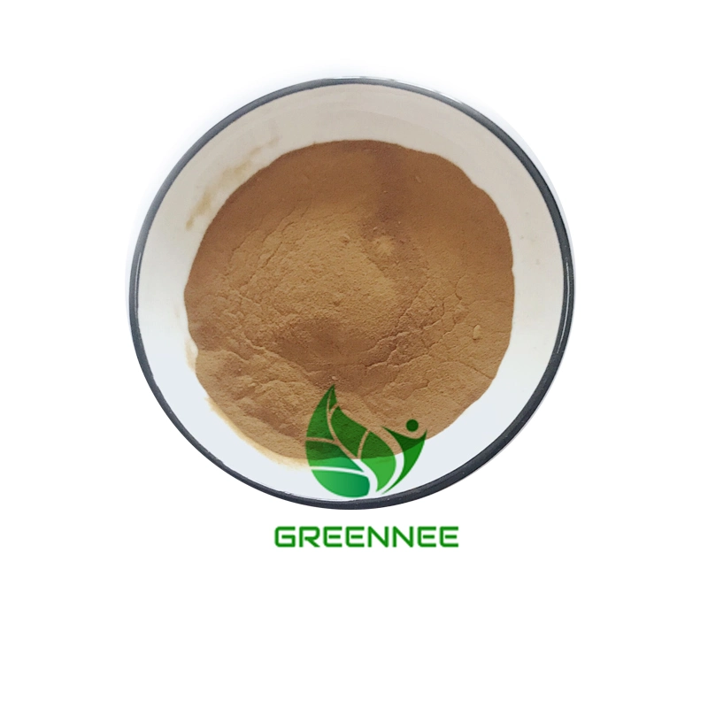 Hot Selling Noni Fruit Extract Powder Noni Juice Extract Noni Fruit Powder