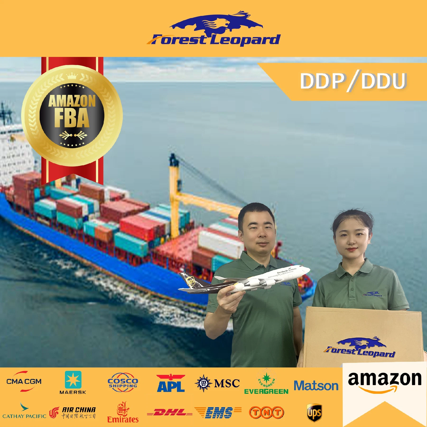 Shipping Company by Sea to Amazon Fba From China to UAE Saudi Arabia Dubai DDP Container Shipping