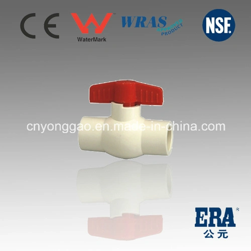 Era Made in China Certified Plastic Fitting Manufacture ASTM D2846 Eracpvc/Plastic/Pressure Fittings for Hot and Cold Water