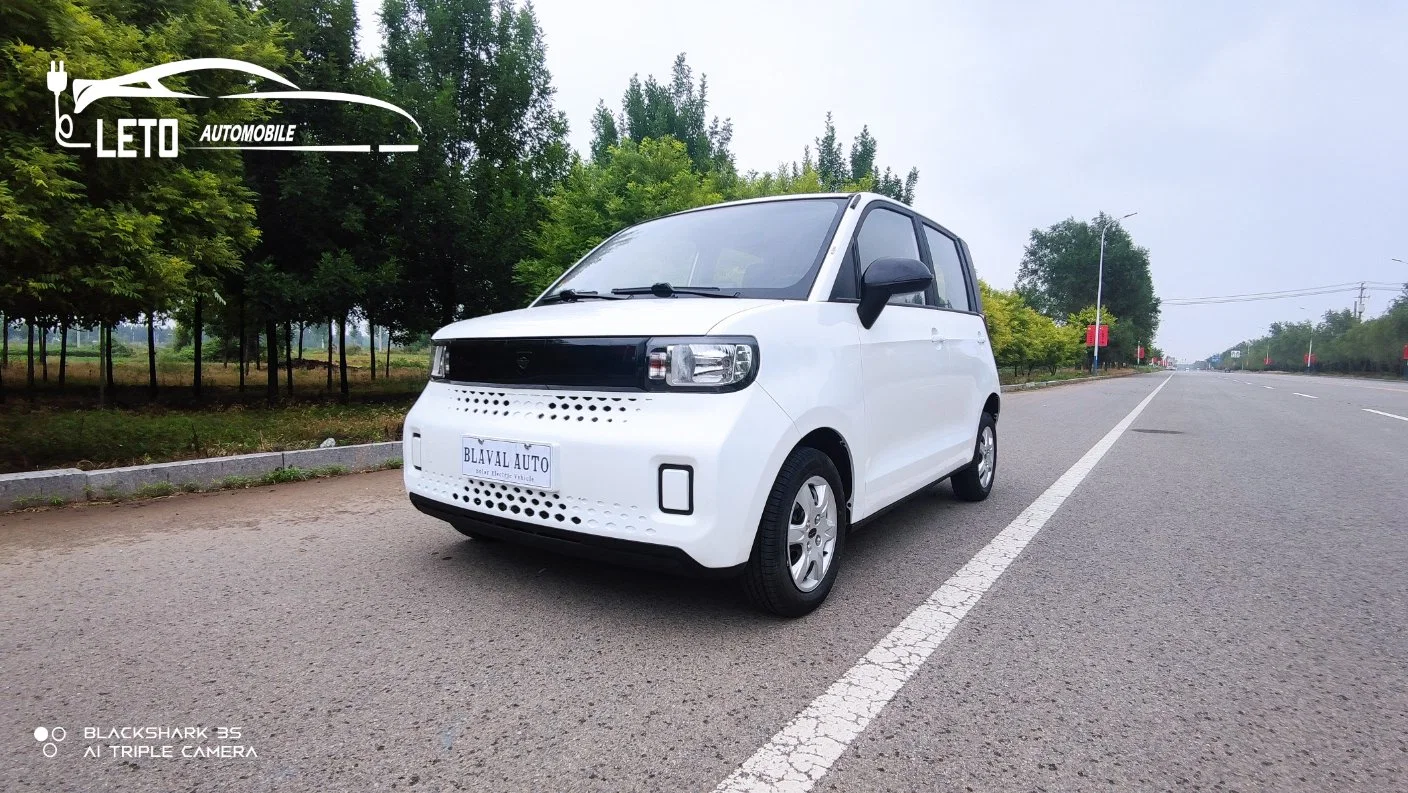 Adults Electric High Speed Rhd Car for Taxi with Range 300km