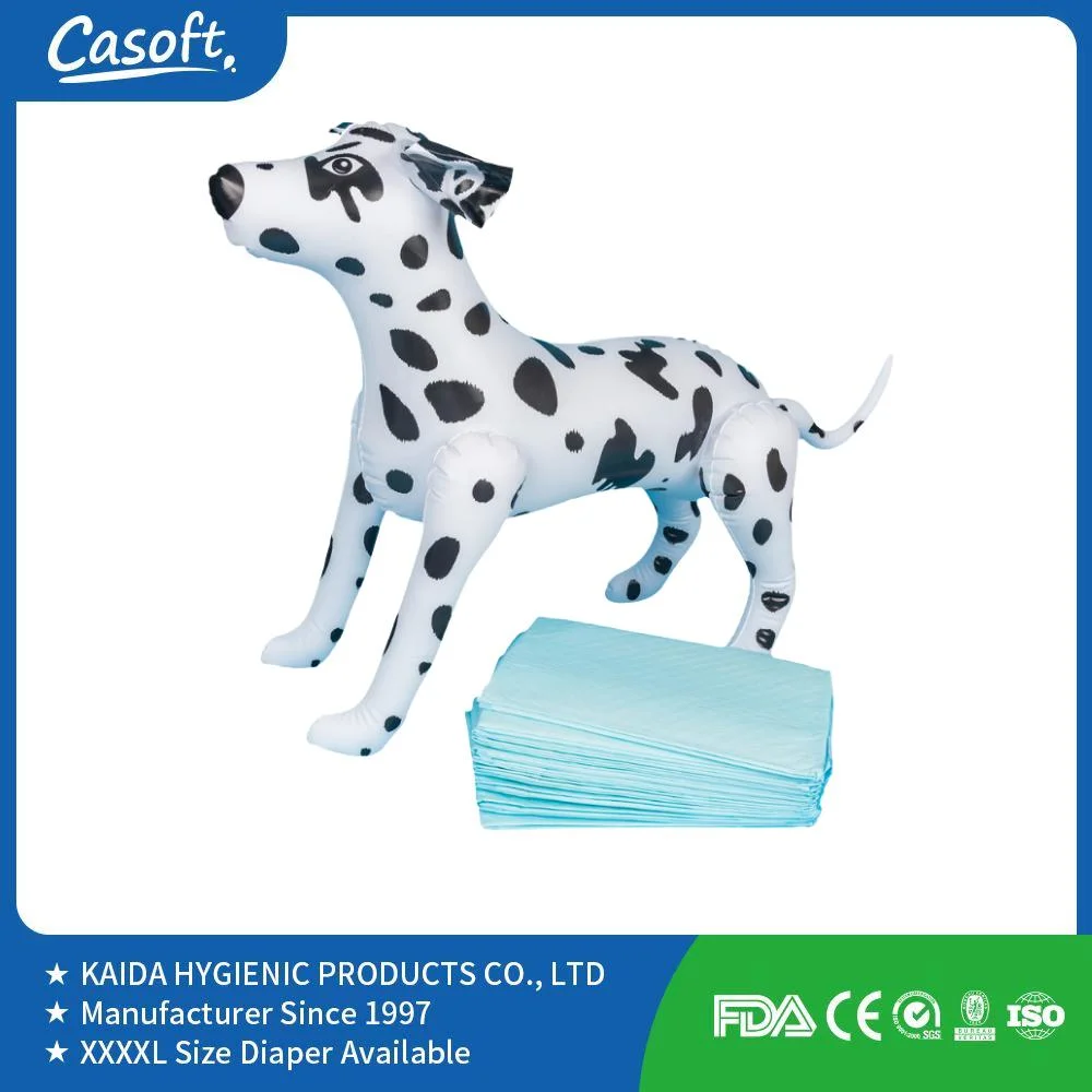 Manufacturer Casoft Best Selling Training High Absorption Disposable Indoor Full Size Pet PEE Pads Supply Japan Korea