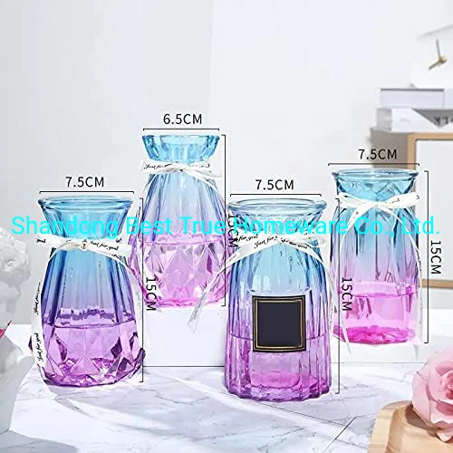 Flower Glass Vases Transparent Vases for Home Decoration and Table Decorations and Gifts