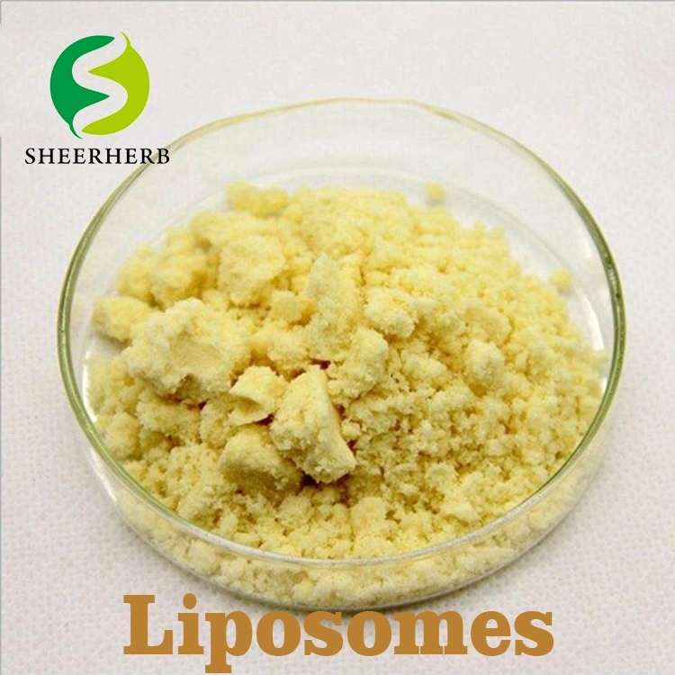 Sheerherb Factory Outlet Nano Liposome Vitamin C Powder