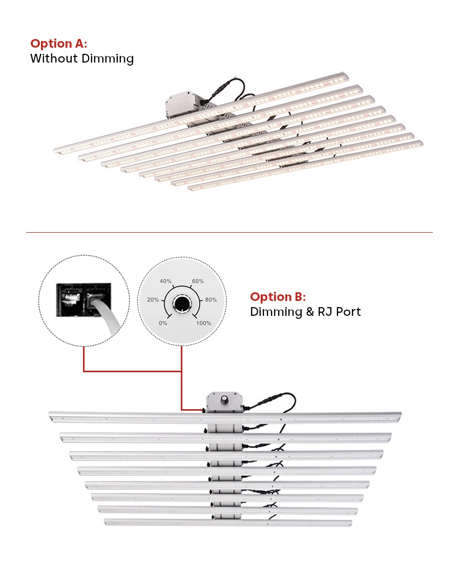 400W 640W 800W 1000W Samsung Lm301b Lm301h 6 8 10 12 Bars Vertical Farming Equipment LED Grow Light