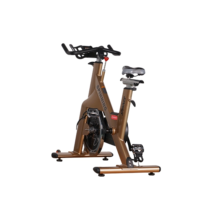 Leekon Custom Indoor Slimming Spin Bike Weight Loss Gym Fitness Commercial Workout Equipment