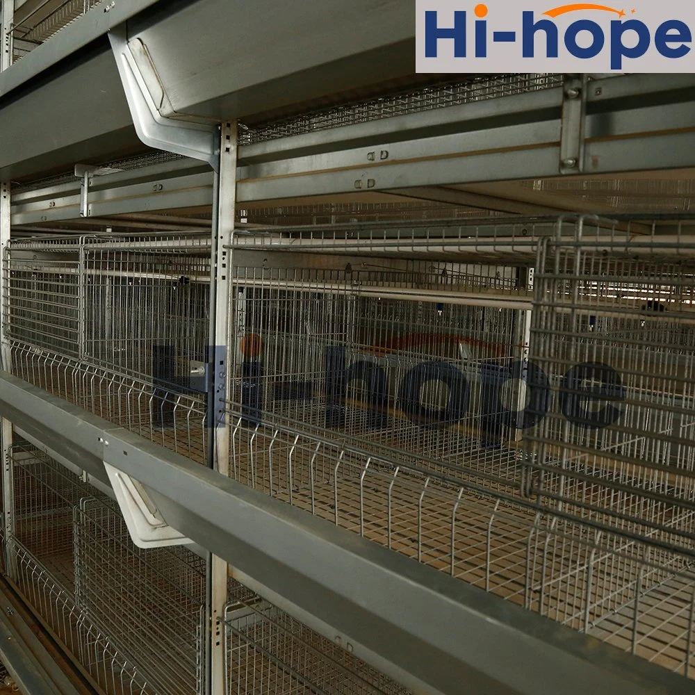 Customized Commercial Steel Structure Broiler House Poultry Farm Chicken Building