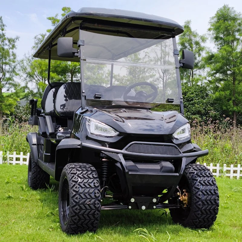 4+2 de la fábrica Seat autobús de turismo Club de Golf eléctrico Buggy Carro de la caza de coche con reproductor multimedia con pantalla táctil de la Cámara de copia de seguridad