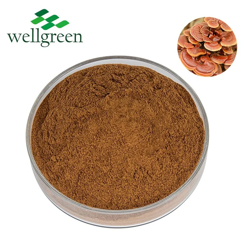 Polysaccharide Price Lucidum Ganoderma Mycelium Organic Wild Reishi Mushroom Extract Powder