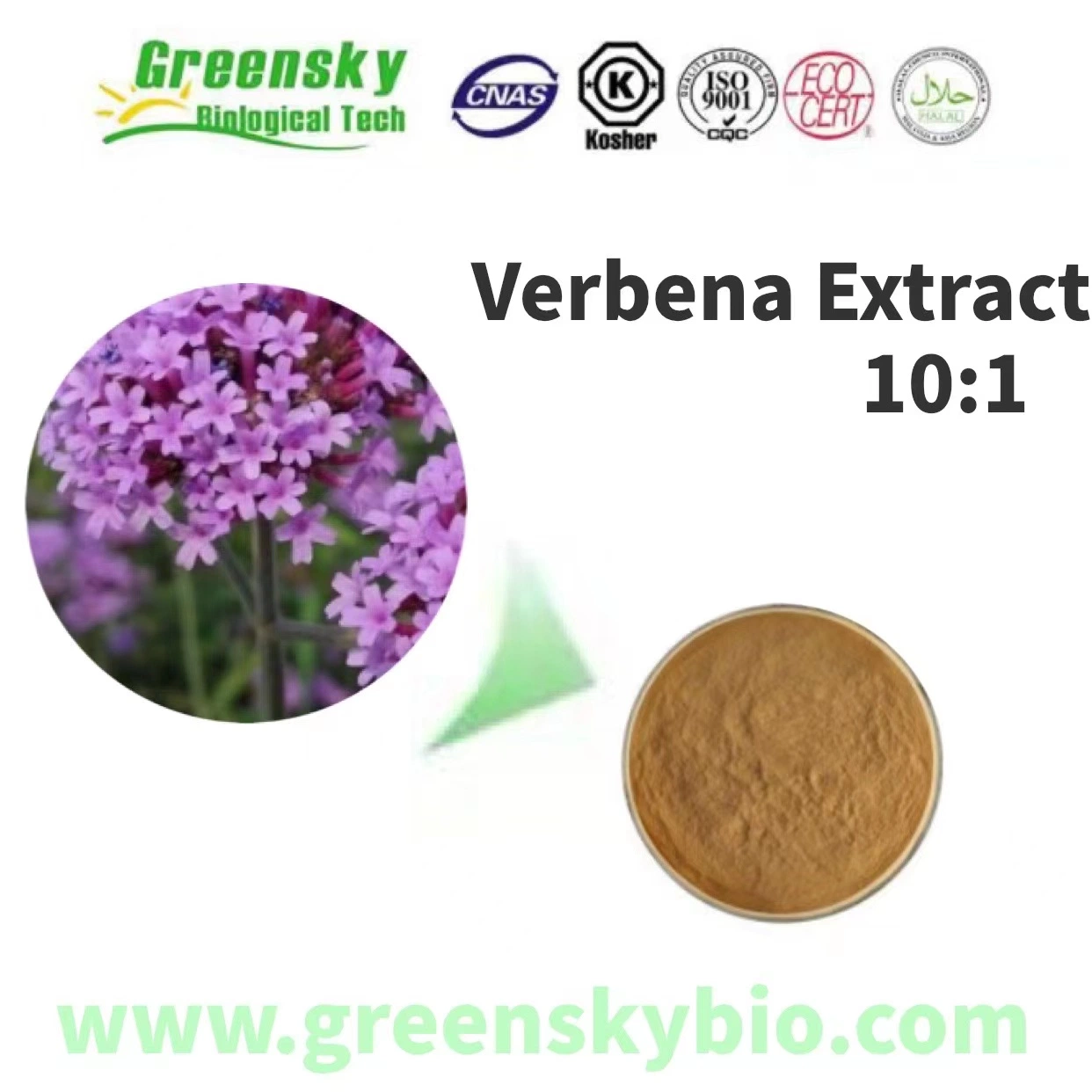 Herbal Extract Plant Extract Hot Sale Herba Vervain Extract 10: 1 100% Natural Pure Chinese Herb Verbena Officinalis Extract Brown Yellow Powder