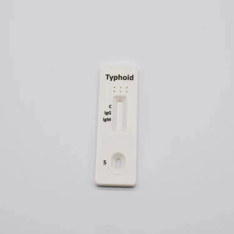 Medizinischer Test Salmonella Typhoid Antikörper Testkit Testkassette