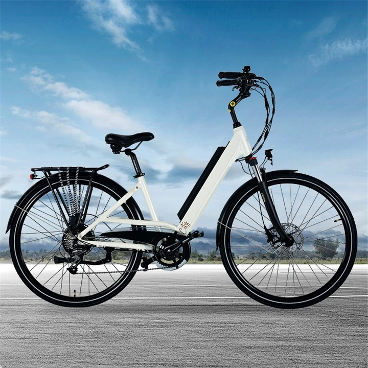36V Electric Bike with CE Certificate En15194 Ebike for Europe