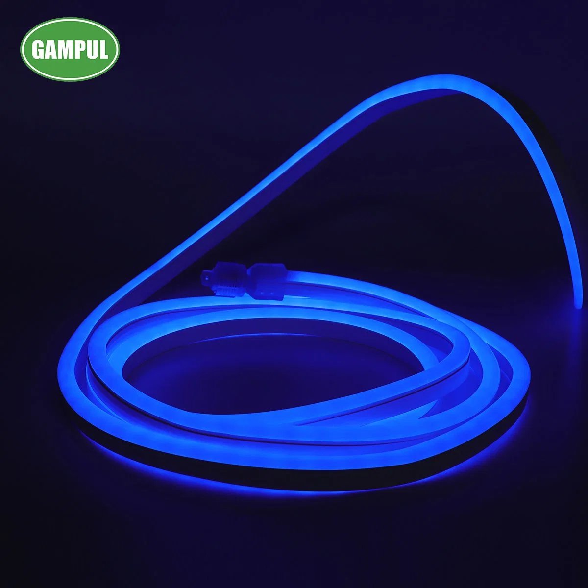 China Factory Direct Sell RGB LED Neon Strip Night Light for Building Decoration