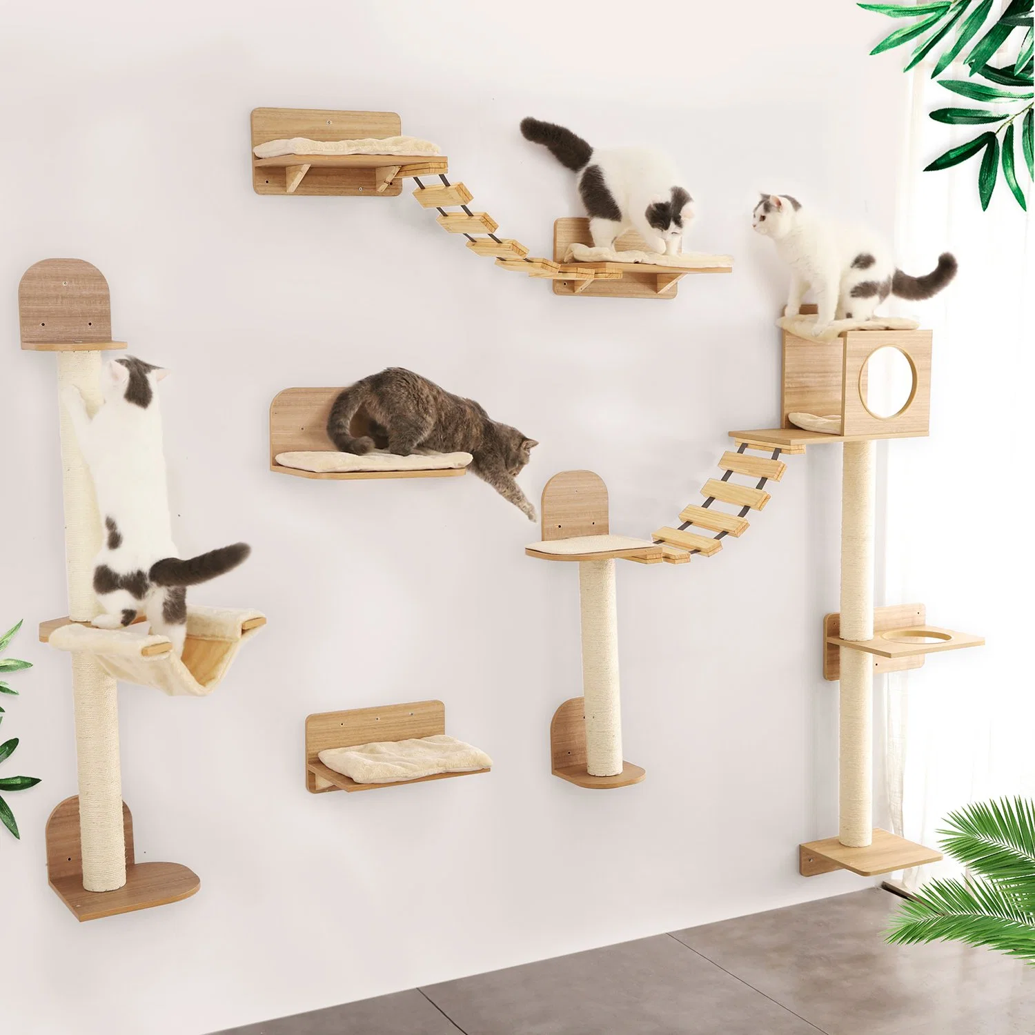 Home luxuoso Cat Climb Track moderno prateleiras montadas na parede Multifunctional Mobiliário Cat