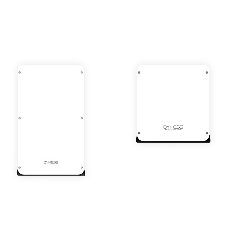 Dyness 51.2V 100ah Low Voltage 5.12kwh Powerdepot H5b Lithium Battery Pack