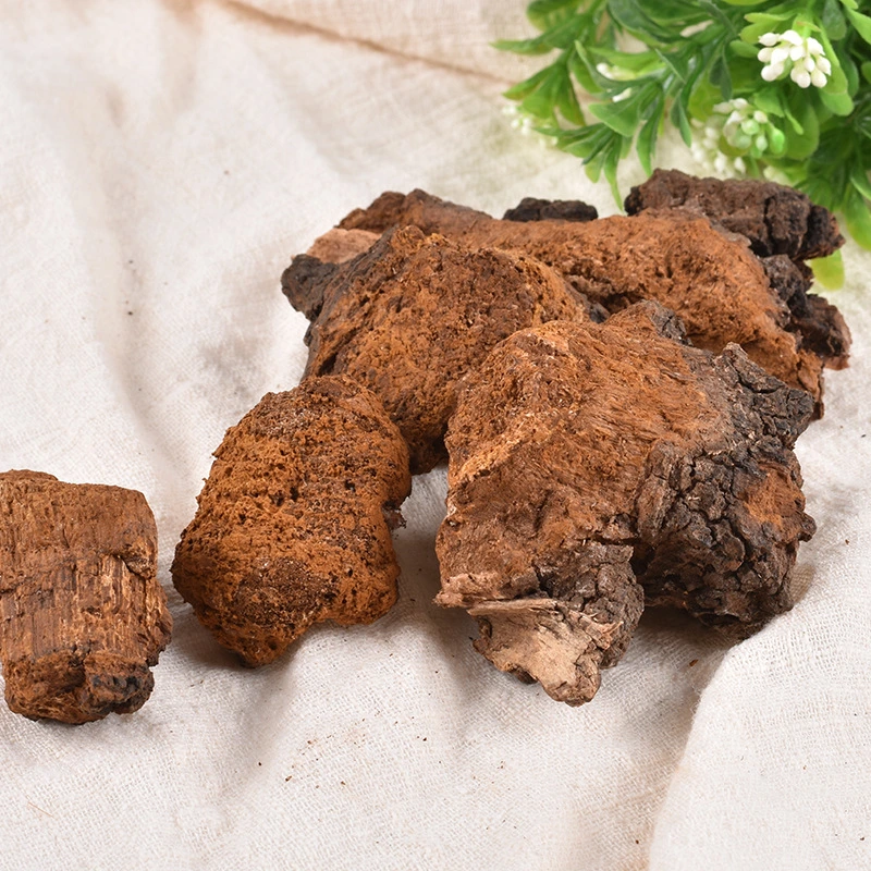 Bai Hua Rong Chinese Medicine Herb Wild Yellow Russian Chaga Mushroom Chaga Chunks