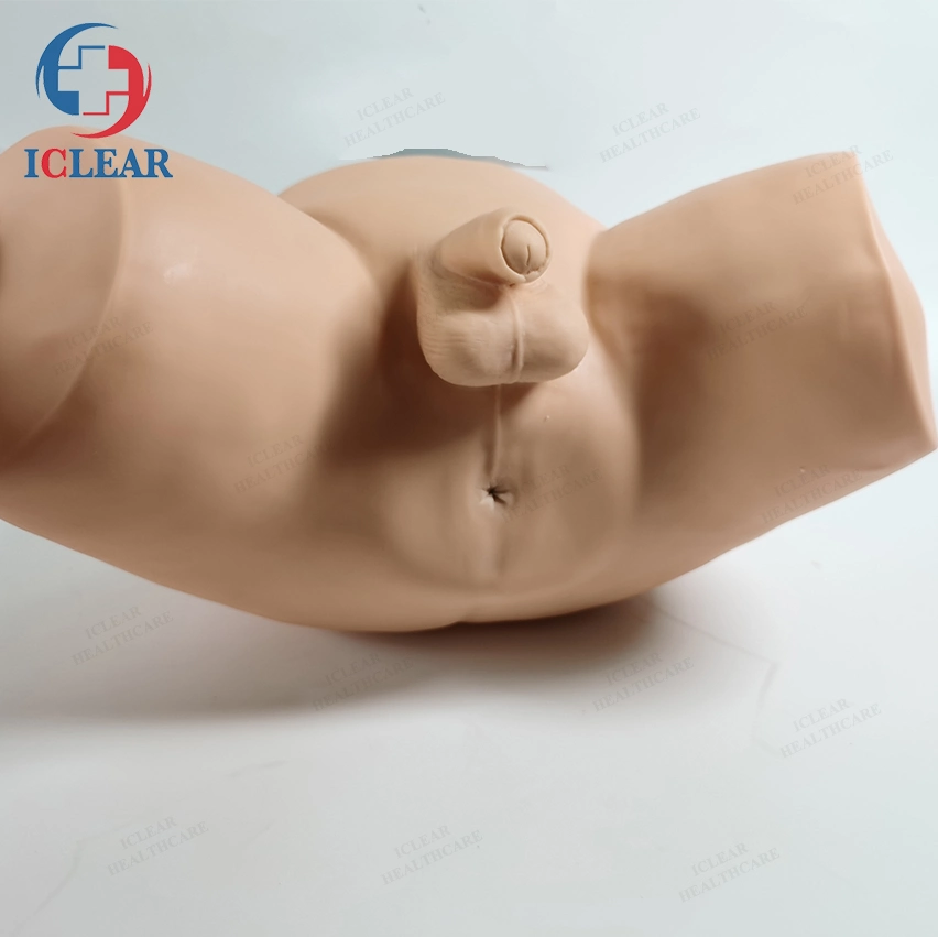 Medical Clinic Training Simulator Prostate Examination Manikin Model for Men