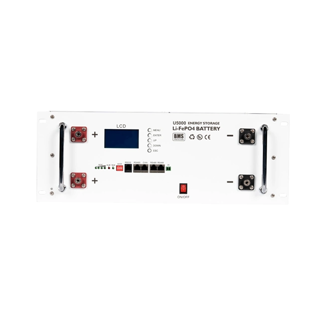 5kwh 10kwh 51.2V 100ah 200ah Rack-Mount Type Lithium Ion LiFePO4 LFP Battery Replace