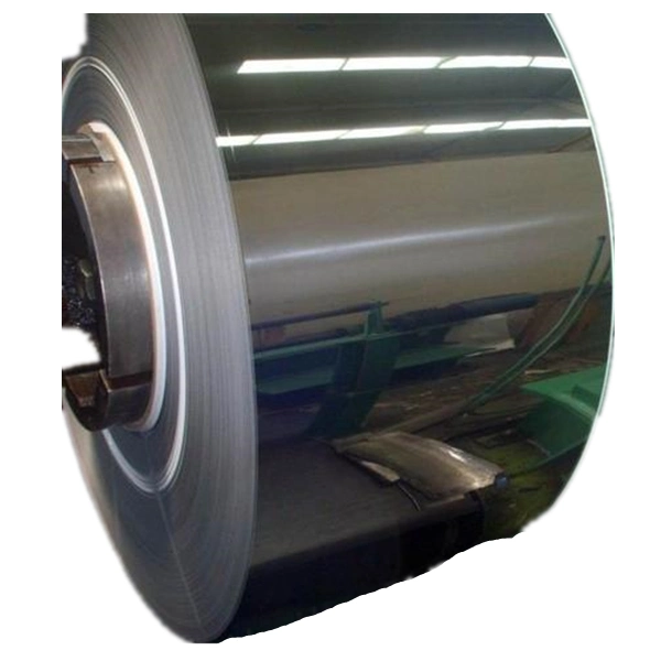 China Stainless Steel Coil Strip for Water Hose