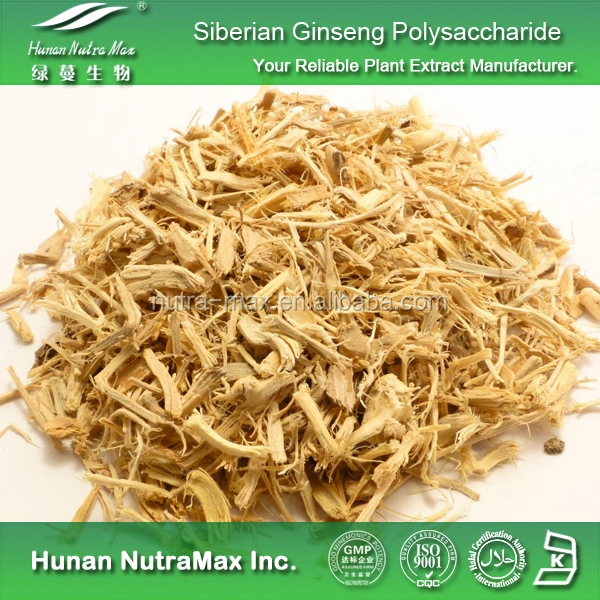 Factory Supply Siberian Ginseng Extract with Eleutheroside B+E 0.8%