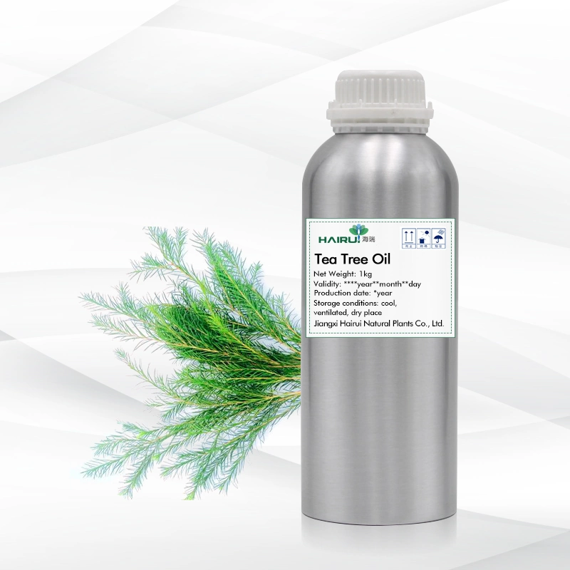 Hot Sale Tea Tree Oil Natural Organic Plant Oil Supply