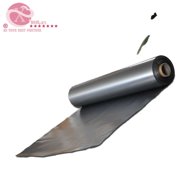 Graphite Foil Sheets and Rolls Flexible Graphite Paper Excellent Price for Sealing Gasket