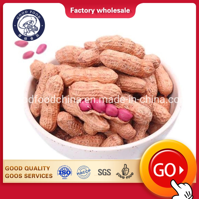 Wholesale Sale of Fresh Red Skinned Peanuts