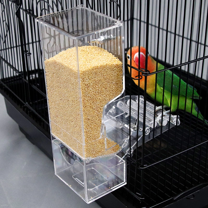 Automatic Feeder New Material Feed Myna Small Bird Supplies Food Box