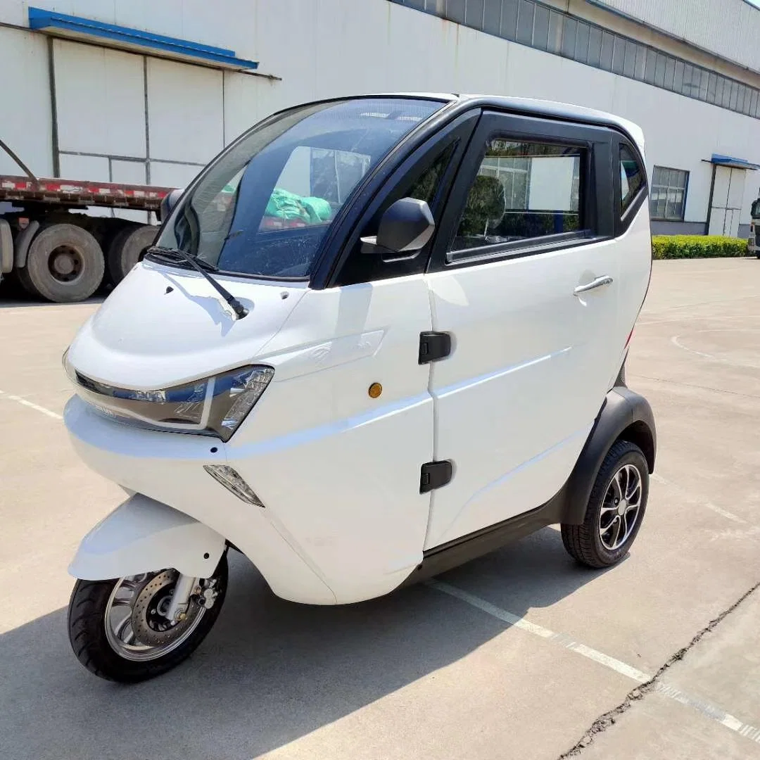 EEC L2e 3 Wheel Electric Enclosed Sporty Mobility Trike with EEC