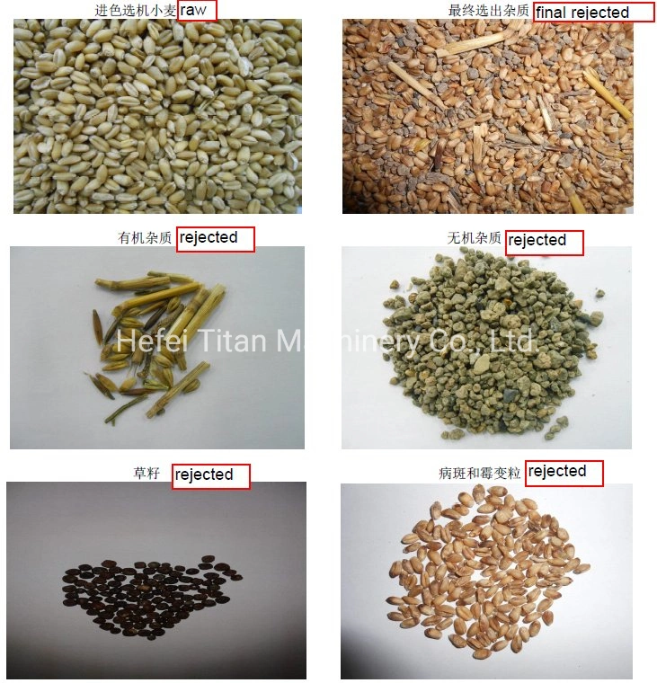 Wheat Color Sorter for Flour Mill High Accurate Higher Capacity