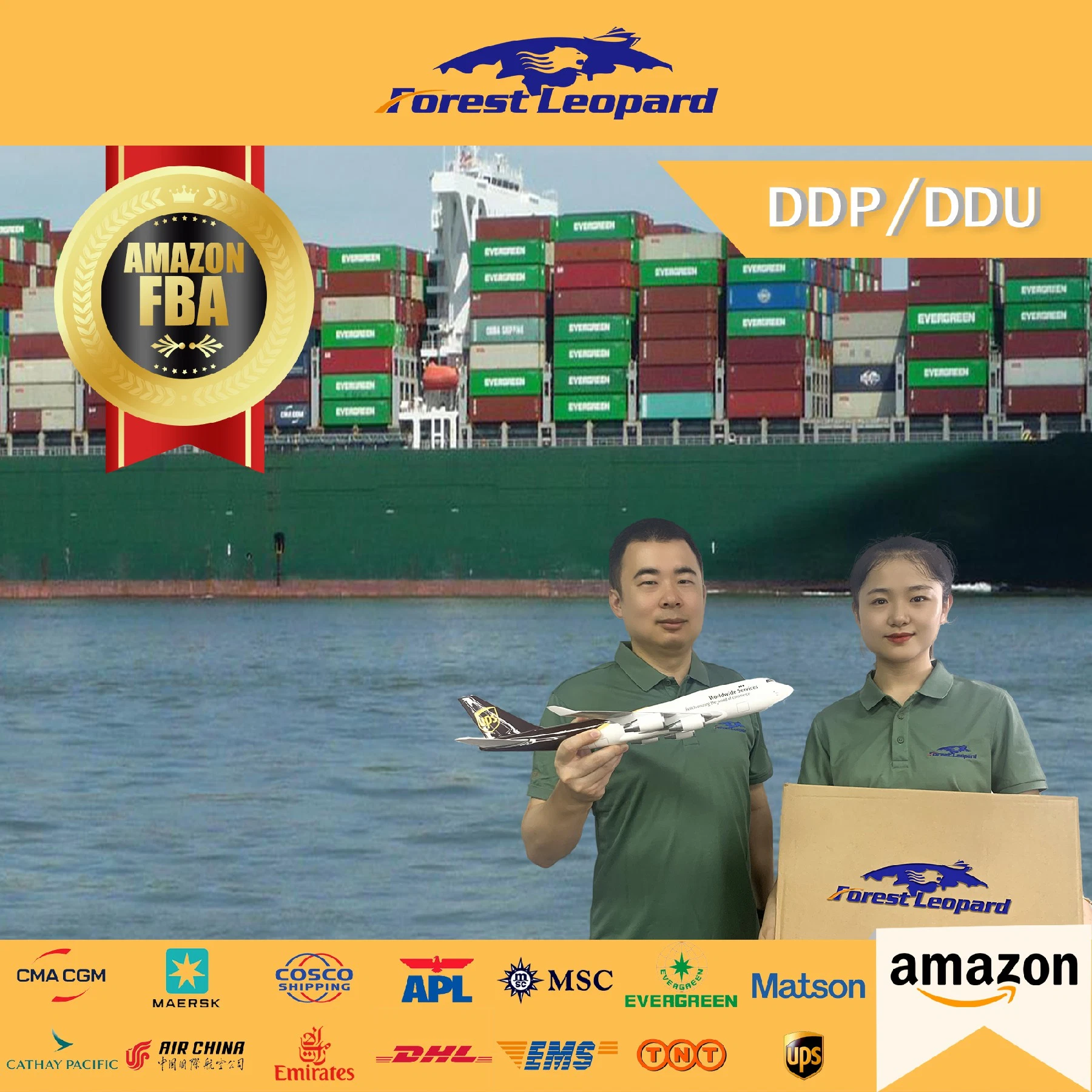 Sea Freight Forwarder Agent Maritime Ocean Transportation Shipping Door to Door Service From China to Us