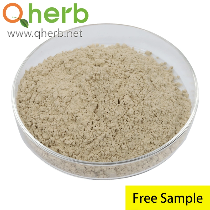 Chinese Herbal Medicine 4: 1 Radix Ophiopogonis Ophiopogon Japonicus Root Extract for Food Grade