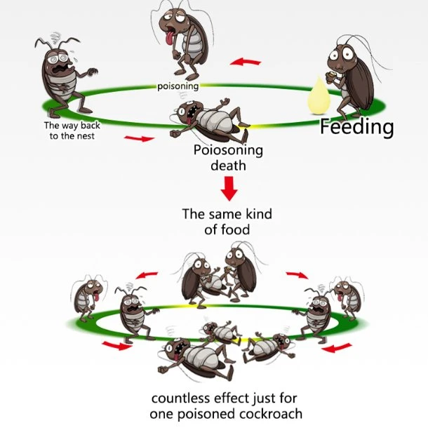 Cebo cucaracha Cucaracha interior eficaz de plagas de gel de hogares asesino