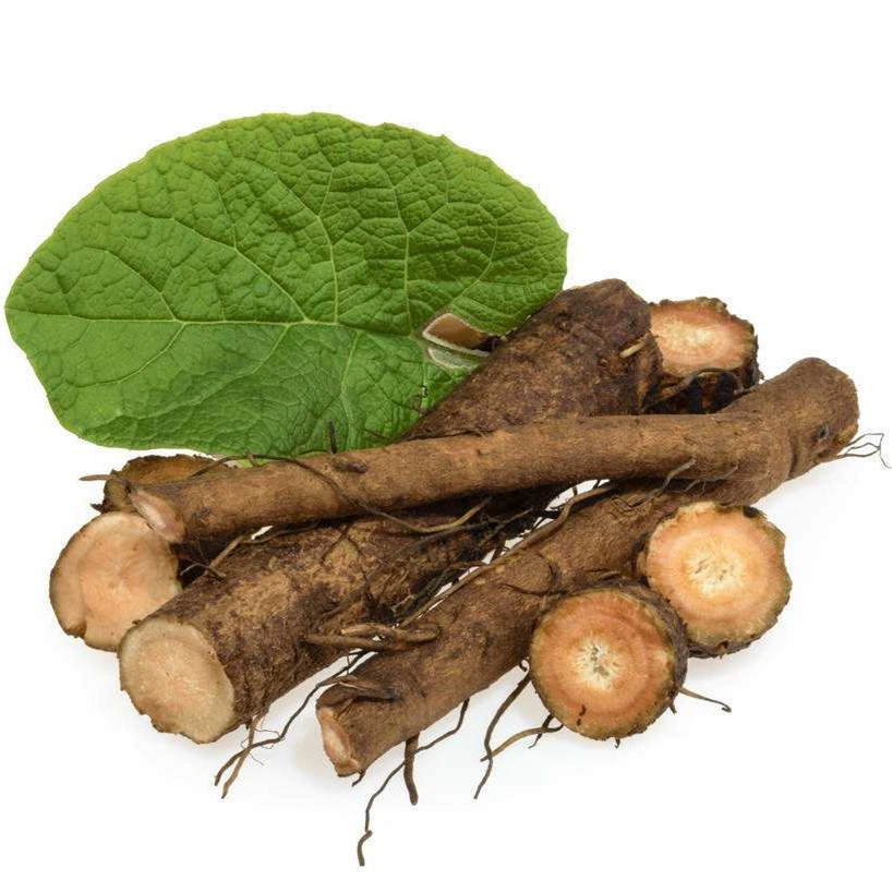 Pure 100% Natural Burdock Root Burdock Root Natural Burdock Root Extract Powder