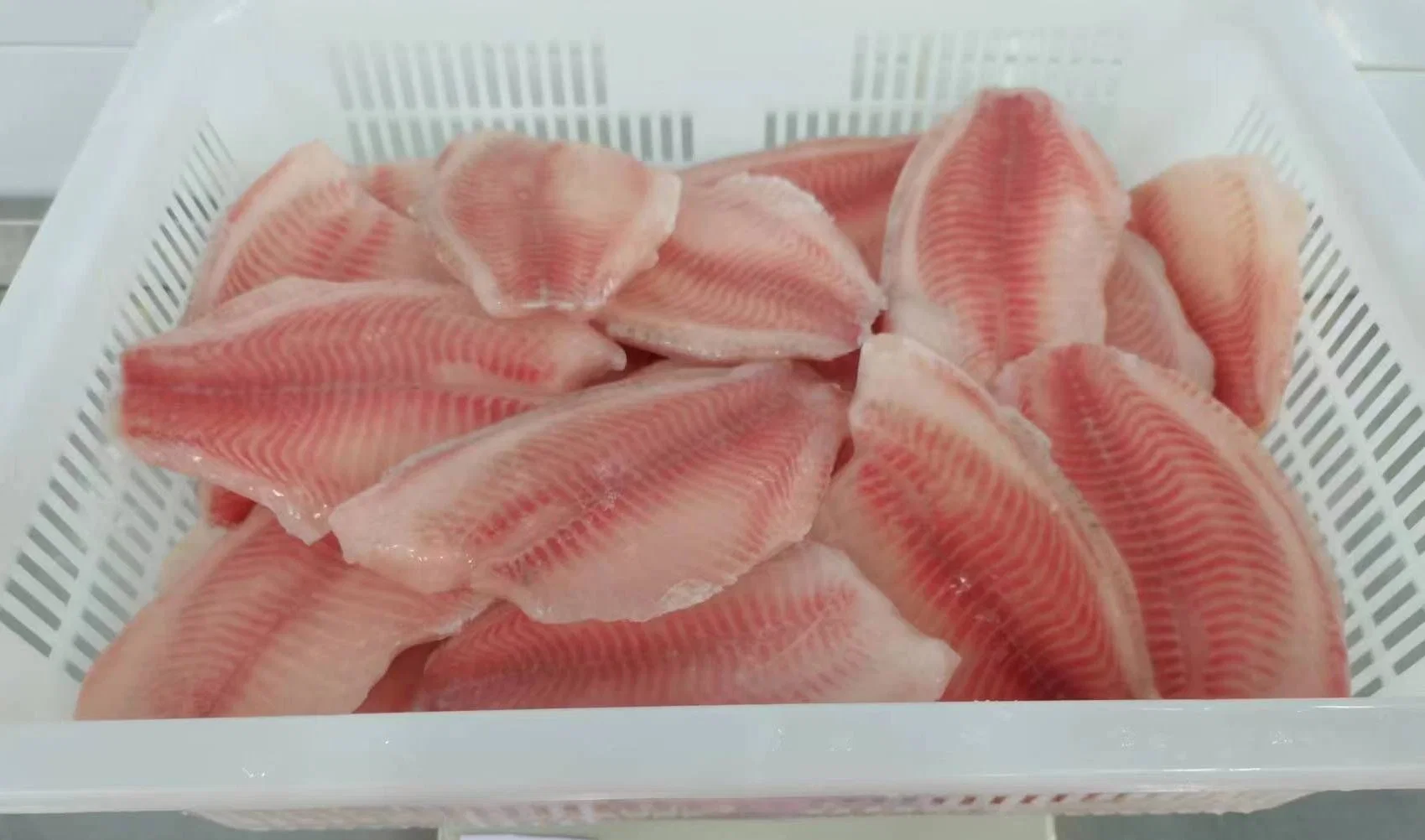 Frozen Tilapia Fillet Fish Sea Food