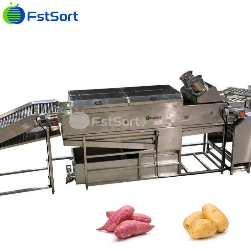 Fstsort Vegetable Washing Machine Manufacturers Turnip/ Beets Grader/Malanga/Taro/Eddo Cleaning Drying Sorting Machine Adjustable Sizer