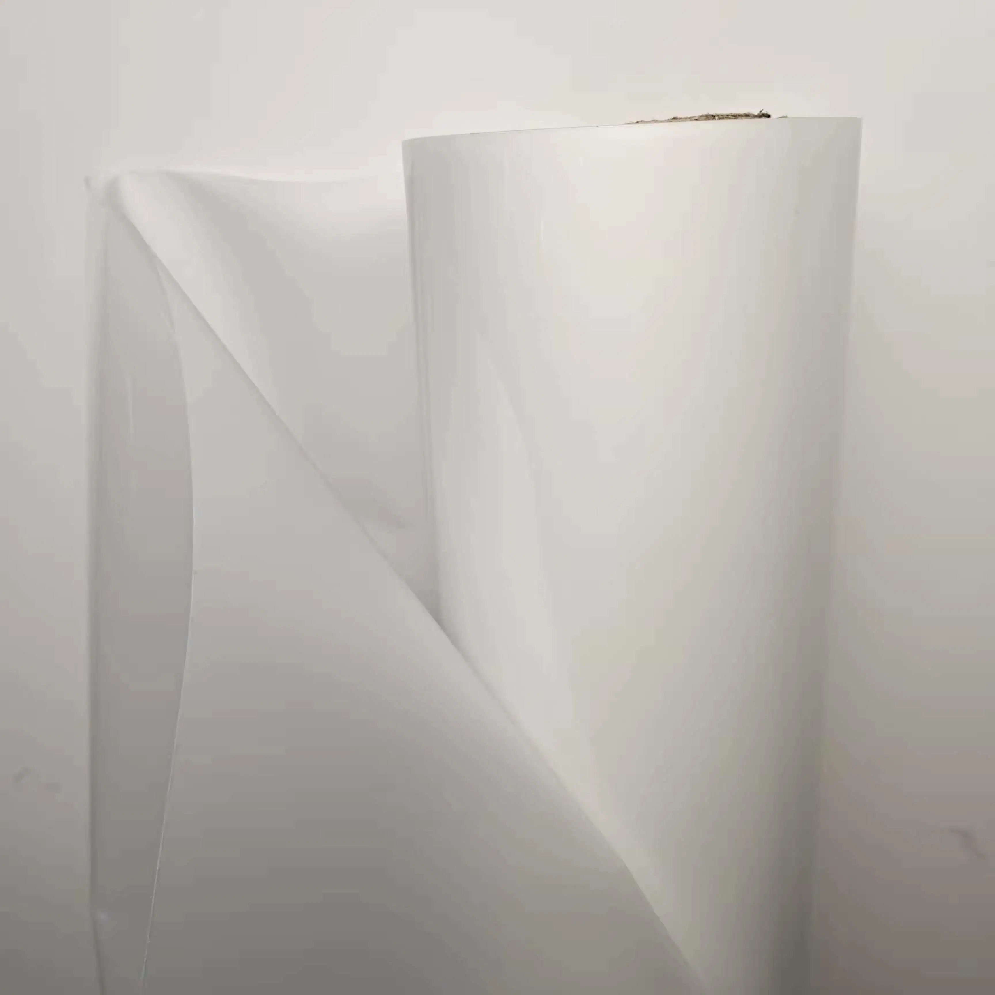 China Polyester Film Hot Sales 30X100m 60X100m Heat Transfer Pet Film for Dtf Printing