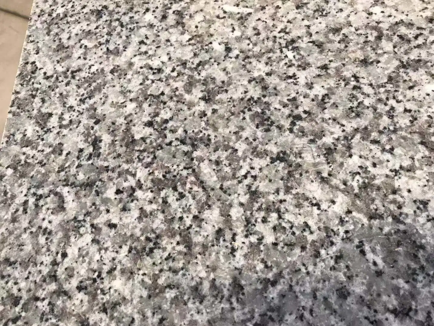 Big White Flower Granite/Vanitytop/Countertops Kitchen Bathroom/Floor Tiles/Outer Interiorwall/Stairs/ Home Decoration/Building Materials Granite