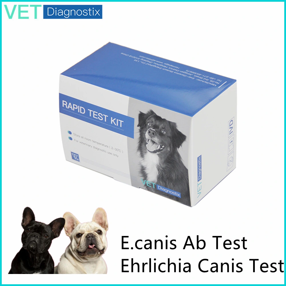 Veterinary Test Canine Ehrlichia Canis Antibody E. Canis Ab Rapid Diagnostic Test
