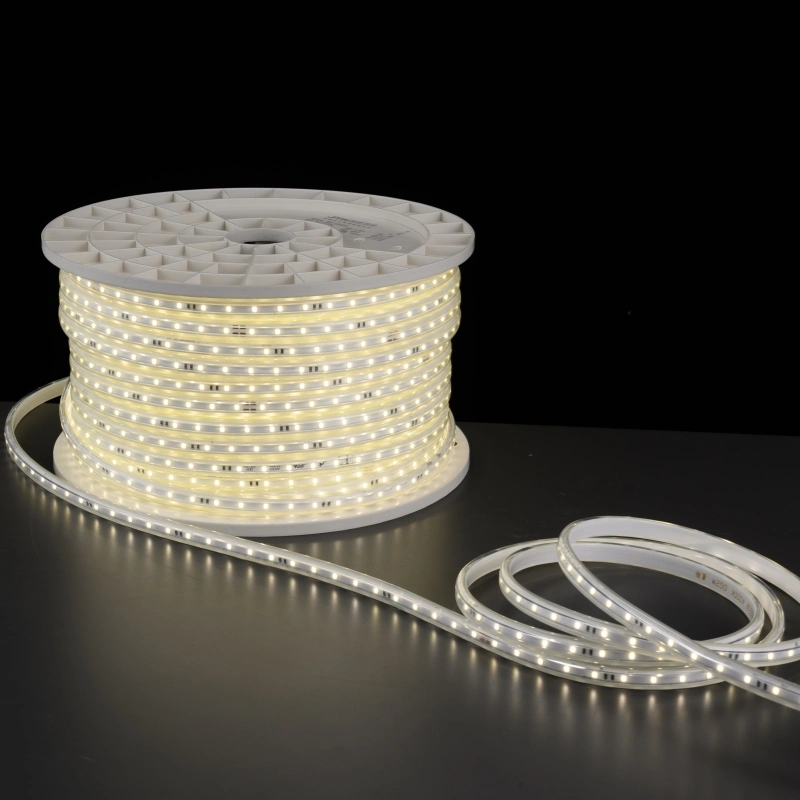 220V Strip SMD2835 60d Flex/Rope Light LED Strip Light