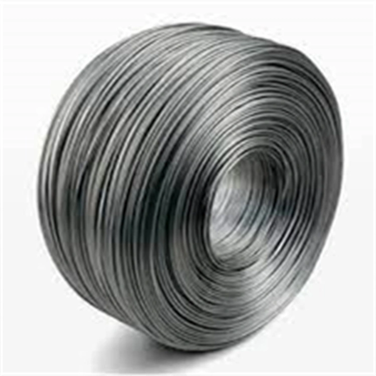 Ss 201 304 316 Stainless Steel Spring Wire Coil Wire Wire Strip for Springs and Decoration