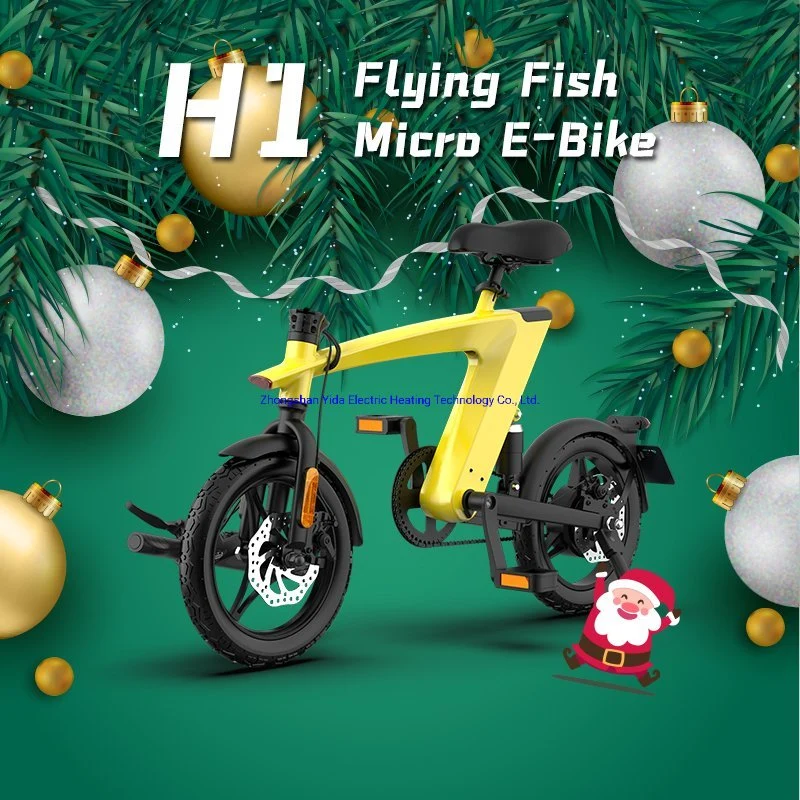 Neues Modell chinesischen 250W Motor 10Ah Batterie Long Range Electric Fahrrad für 2022 Weihnachten
