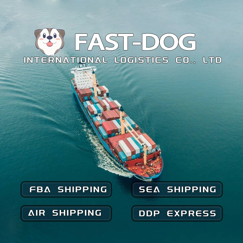 Sea Freight From Shenzhen to USA/Us/The United States Door to Door DDP