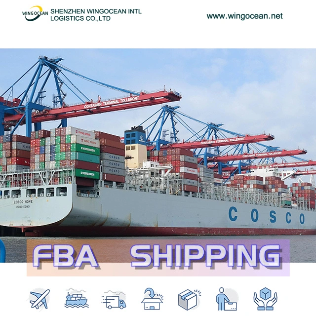 Shipping Service/ Logistics / Shipping Forwarder From China to Saudi Arabia