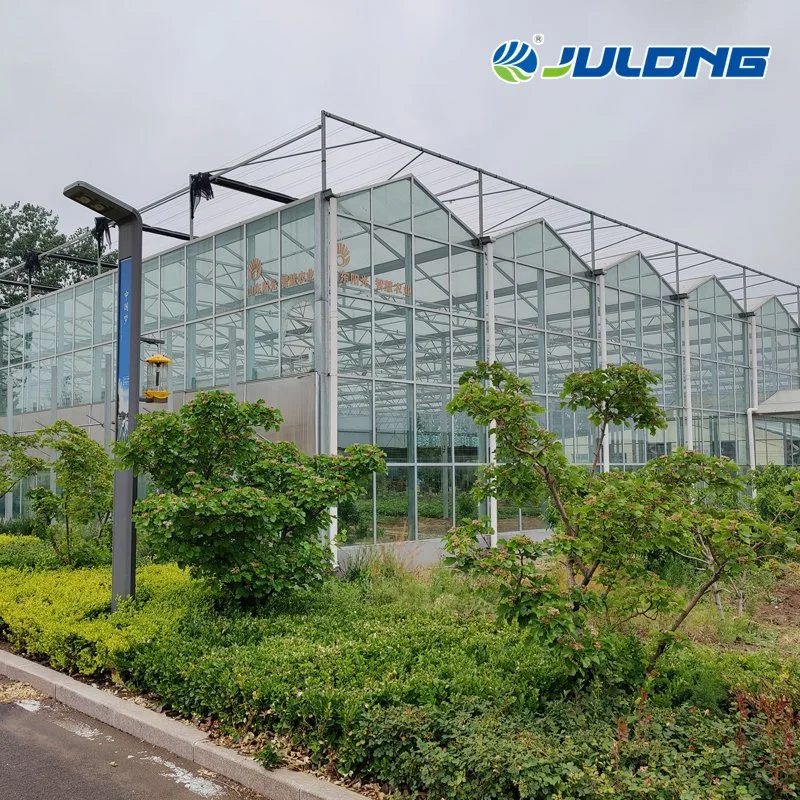 Light Steel Structure Multi Span Greenhouse with European Standards Design