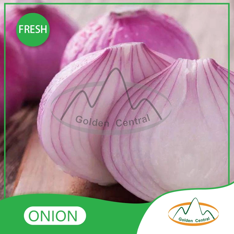 Low Price Fresh Yellow Onion