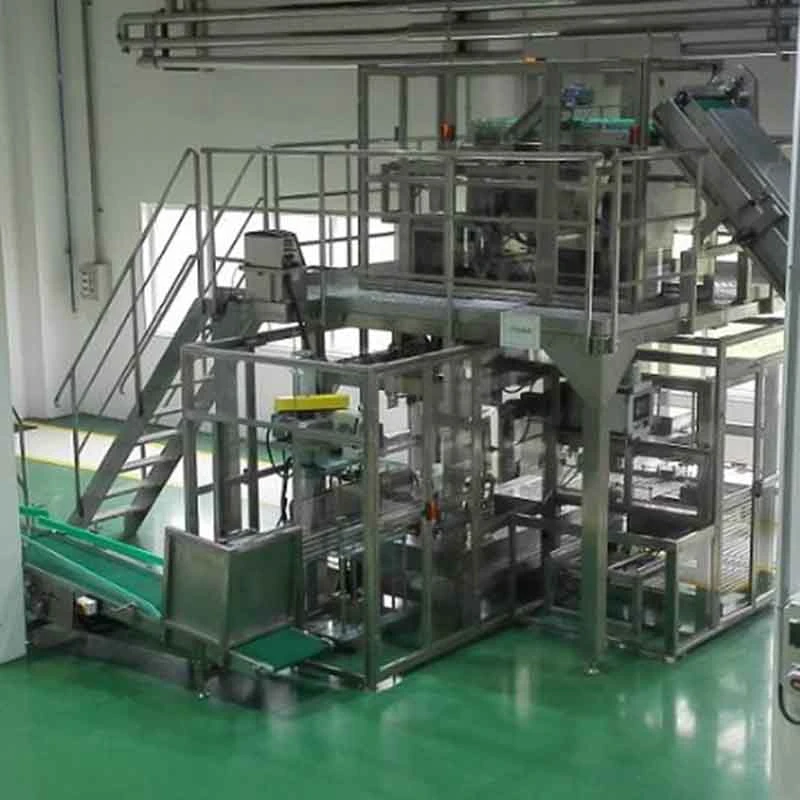 Automatic Plastic Bag Granule Secondary Packing Packaging Machine