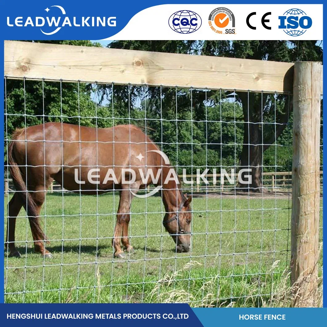 Leadwalking Mesh Wire Fencing OEM Custom Horse Riding Club Wire Mesh Suppliers China Long-Lasting Vinyl Horse Fence Mesh