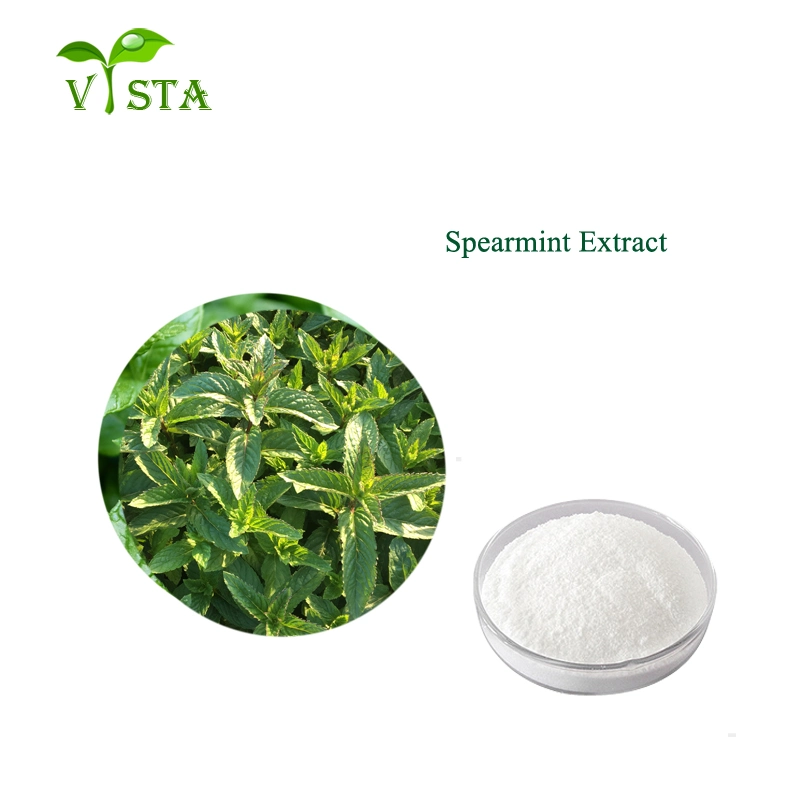 Factory Supply Plant Extract Water Soluble Mint Flavor Powder Natural Spearmint Extract Peppermint Extract