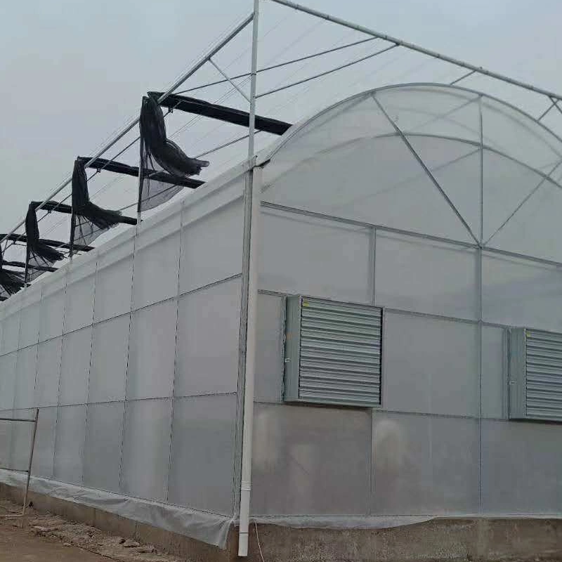 Promotional High quality/High cost performance  Multi-Span Plastic Film Greenhouse